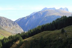 IMG_7846