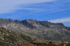 IMG_7872