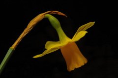 IMG_5745