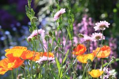 IMG_0997