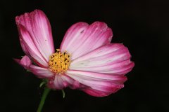 IMG_3057