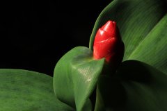 IMG_4592