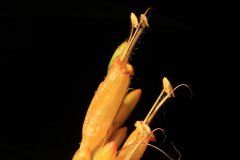 IMG_4693