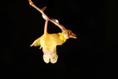 IMG_5885