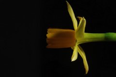 IMG_8570