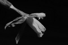 IMG_8577