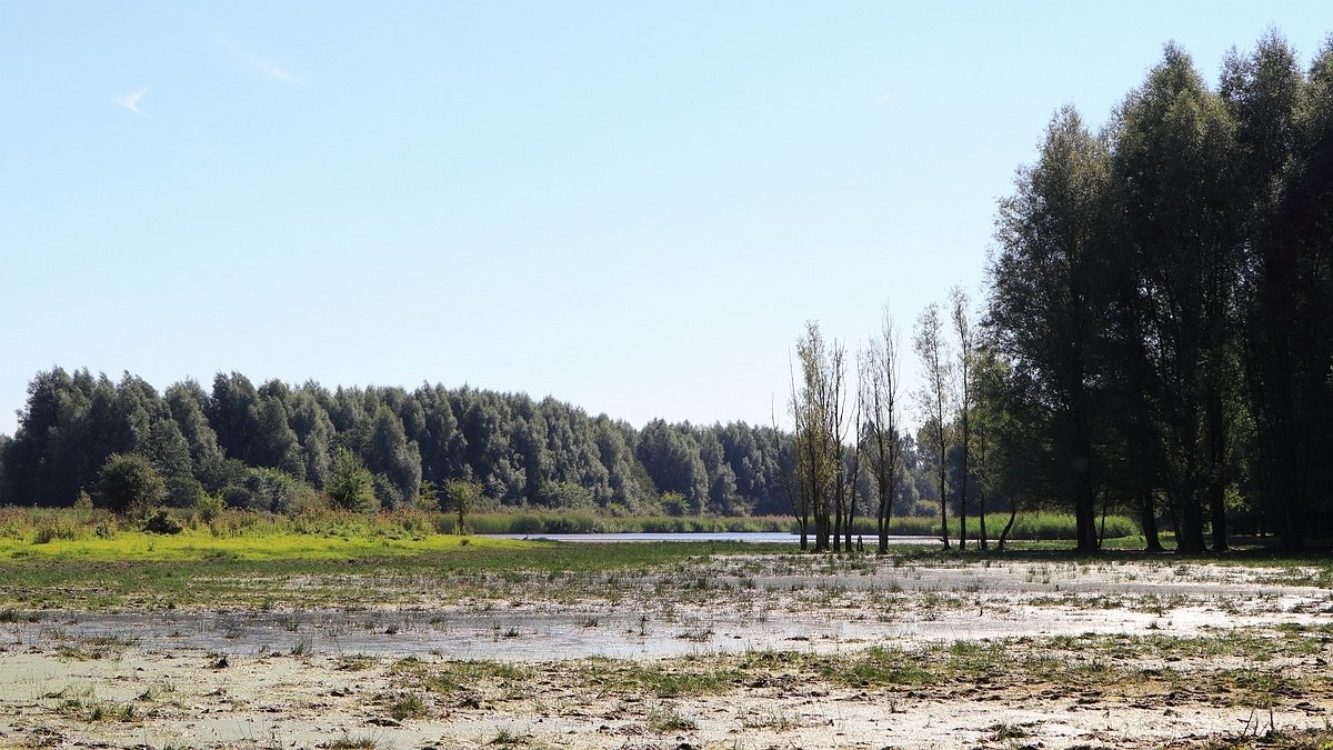 Stille Kern, Zeewolde, Flevoland