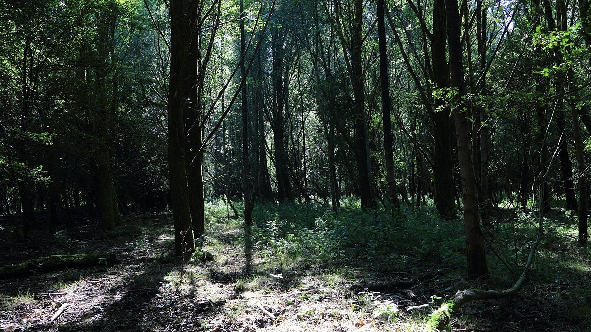 Stille Kern, Zeewolde, Flevoland