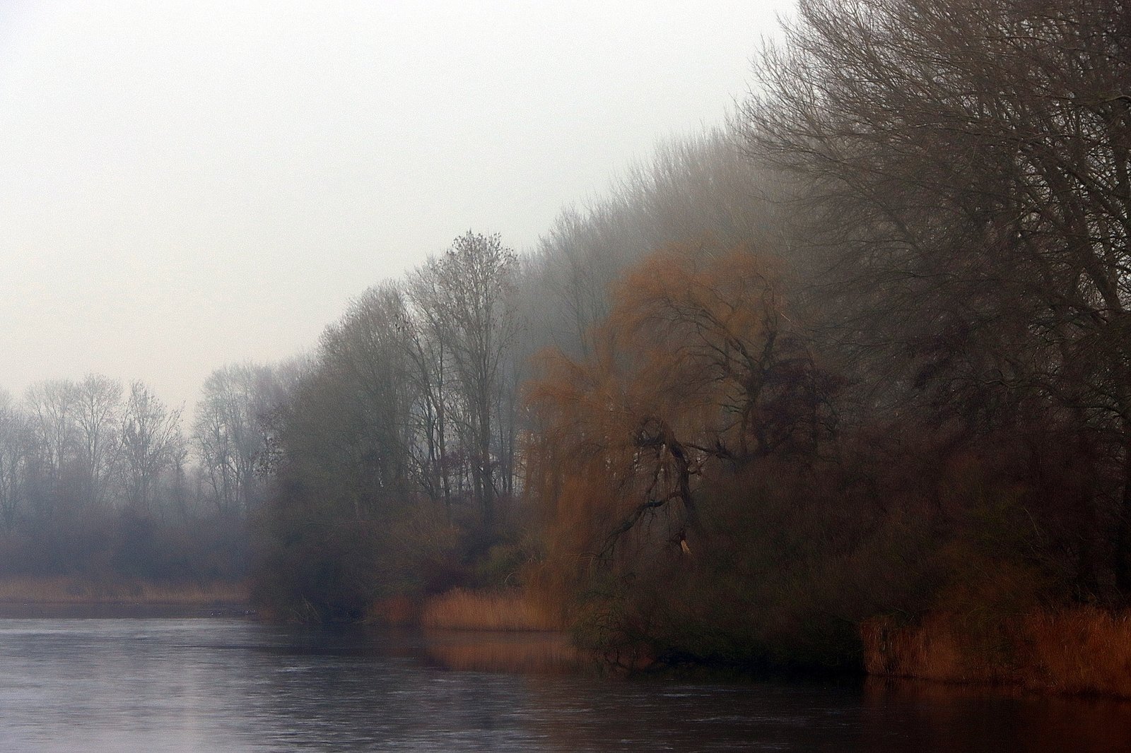 Natuurpark Lelystad