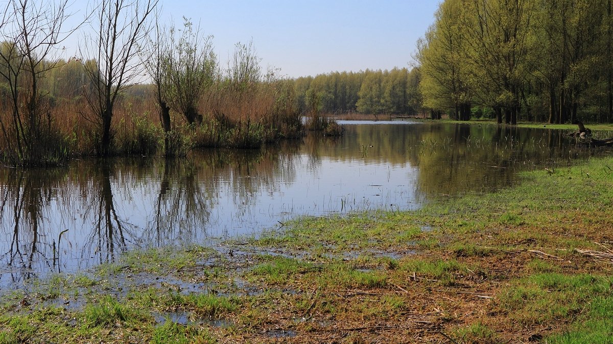 Stille Kern, Zeewolde, Flevoland
