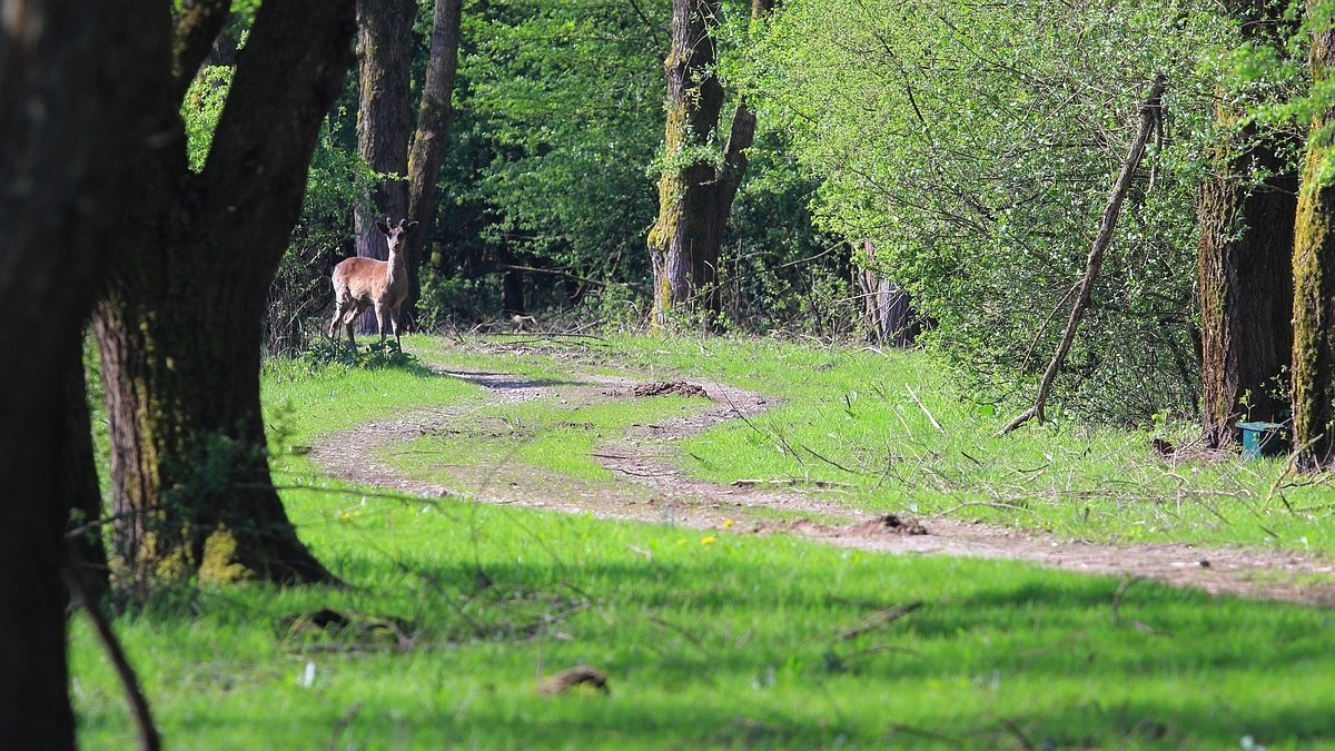 Stille Kern, Zeewolde, Flevoland