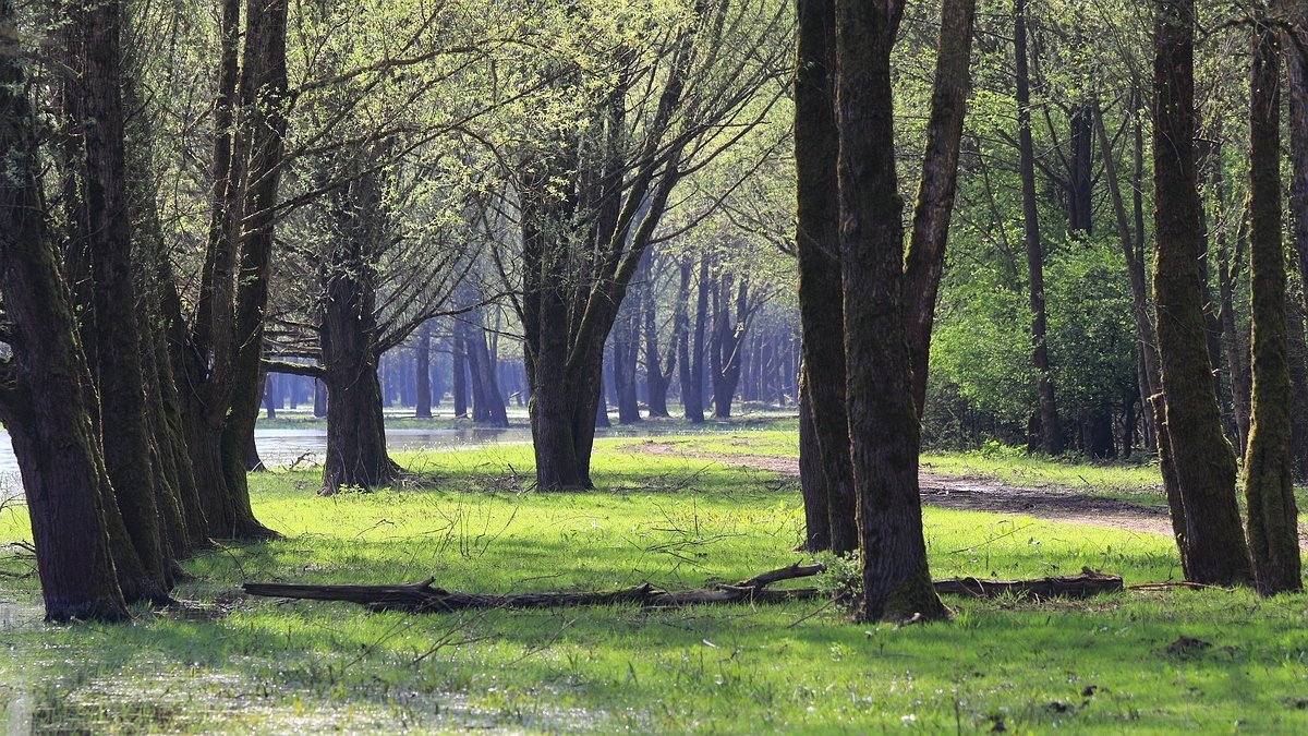 Stille Kern, Zeewolde, Flevoland