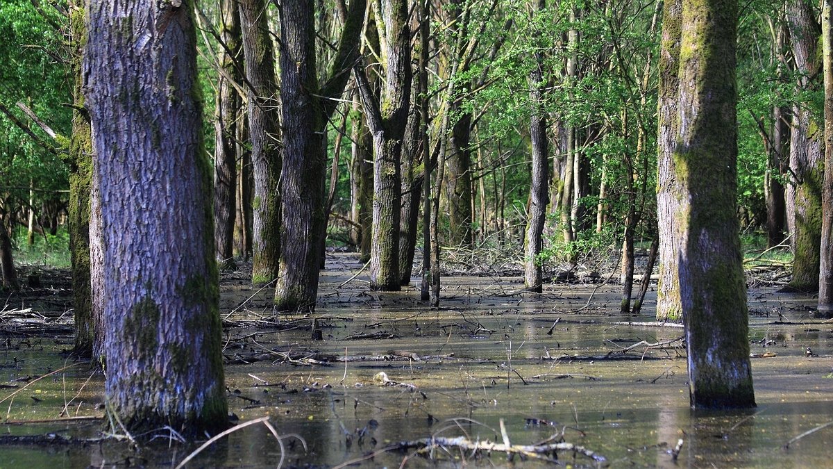 Stille Kern, Zeewolde, Flevoland