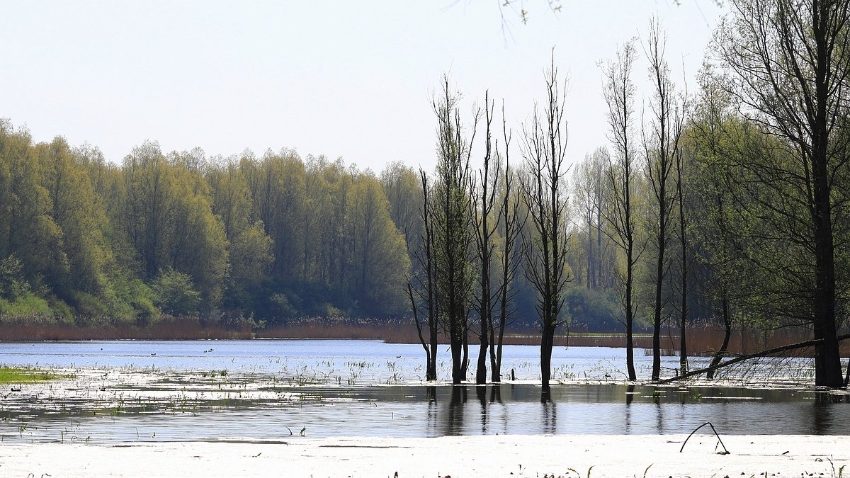 Stille Kern, Zeewolde, Flevoland