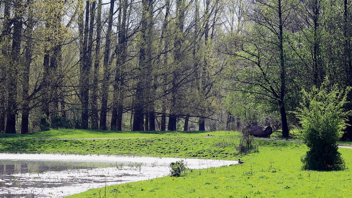 Stille Kern, Zeewolde, Flevoland