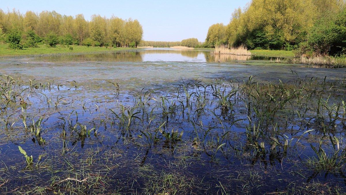 Stille Kern, Zeewolde, Flevoland