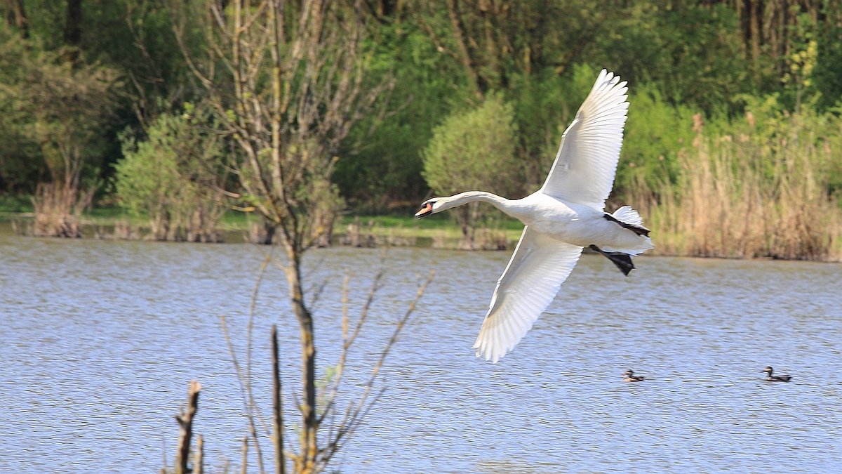Stille Kern, Zeewolde, Flevoland