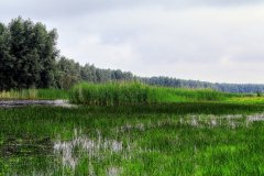 Stille Kern, Zeewolde, Flevoland
