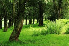 Stille Kern, Zeewolde, Flevoland