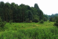 Stille Kern, Zeewolde, Flevoland
