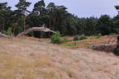Het Leuvenumse Bos