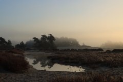 Het Leuvenumse Bos
