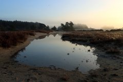 Het Leuvenumse Bos