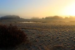 Het Leuvenumse Bos