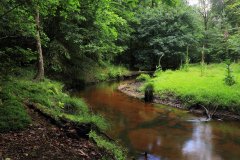 Het Leuvenumse Bos