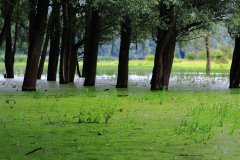 Stille Kern, Zeewolde, Flevoland