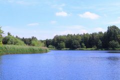 Natuurpark Lelystad
