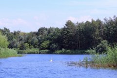 Natuurpark Lelystad