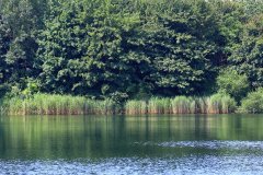 Natuurpark Lelystad
