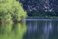 Natuurpark Lelystad
