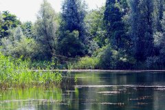 Natuurpark Lelystad