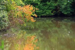 Natuurpark Lelystad