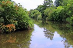 Natuurpark Lelystad