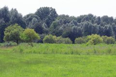 Natuurpark Lelystad