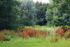 Natuurpark Lelystad