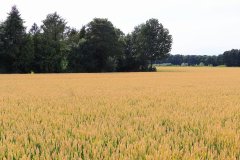 Flevoland