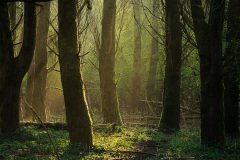 IMG_1676