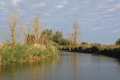 Oostvaardersplassen