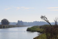 Oostvaardersplassen