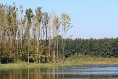 Stille Kern, Zeewolde, Flevoland