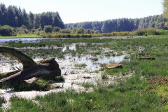 Stille Kern, Zeewolde, Flevoland