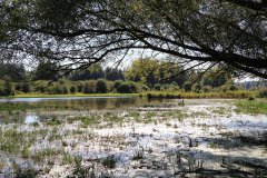 Stille Kern, Zeewolde, Flevoland