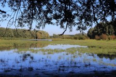 Stille Kern, Zeewolde, Flevoland