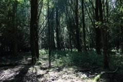Stille Kern, Zeewolde, Flevoland