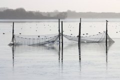 IMG_4843