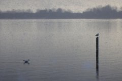 IMG_5138